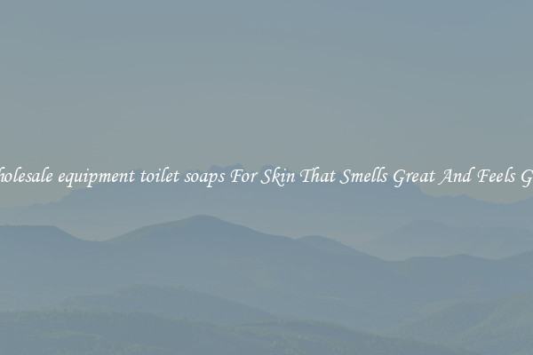 Wholesale equipment toilet soaps For Skin That Smells Great And Feels Good