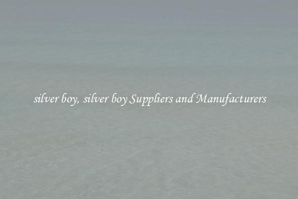 silver boy, silver boy Suppliers and Manufacturers