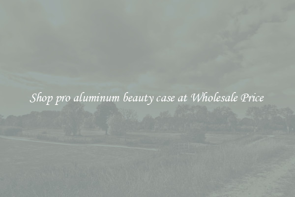 Shop pro aluminum beauty case at Wholesale Price 