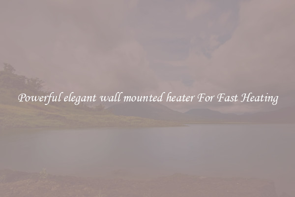 Powerful elegant wall mounted heater For Fast Heating