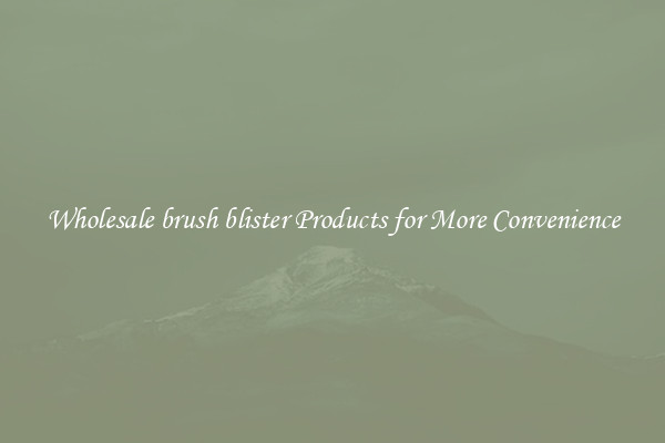 Wholesale brush blister Products for More Convenience