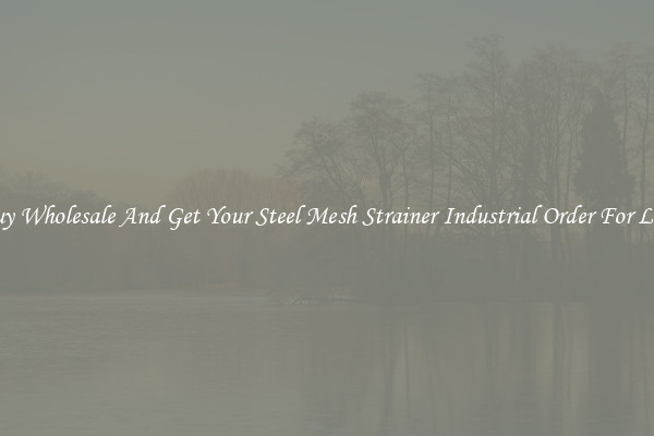 Buy Wholesale And Get Your Steel Mesh Strainer Industrial Order For Less