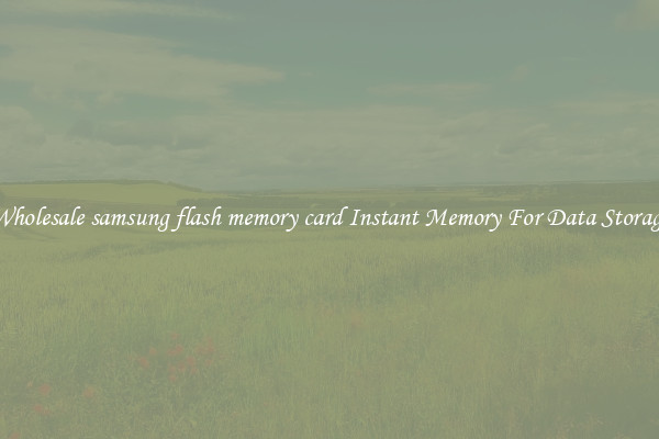 Wholesale samsung flash memory card Instant Memory For Data Storage