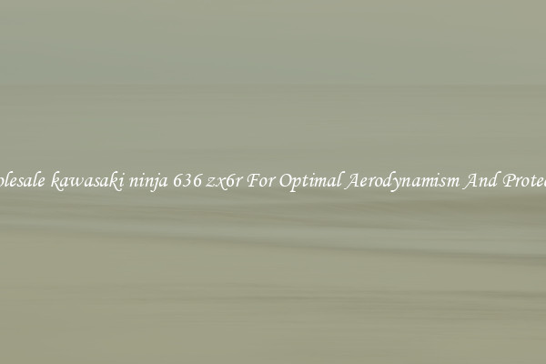 Wholesale kawasaki ninja 636 zx6r For Optimal Aerodynamism And Protection