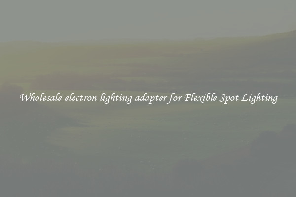 Wholesale electron lighting adapter for Flexible Spot Lighting
