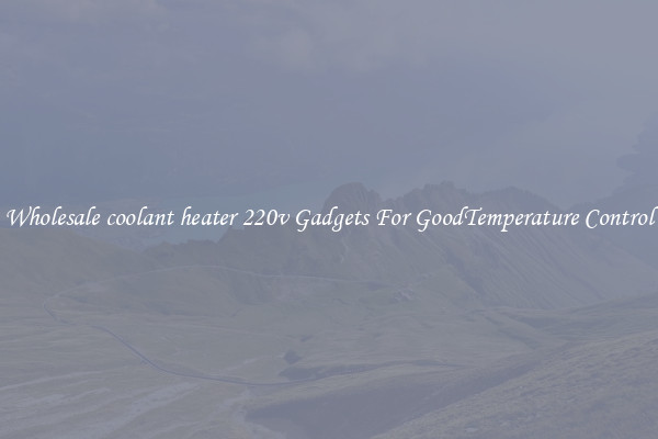 Wholesale coolant heater 220v Gadgets For GoodTemperature Control