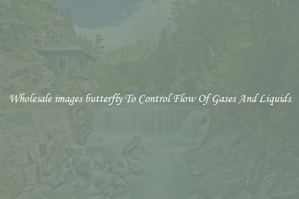 Wholesale images butterfly To Control Flow Of Gases And Liquids