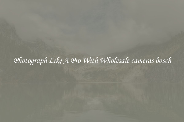 Photograph Like A Pro With Wholesale cameras bosch