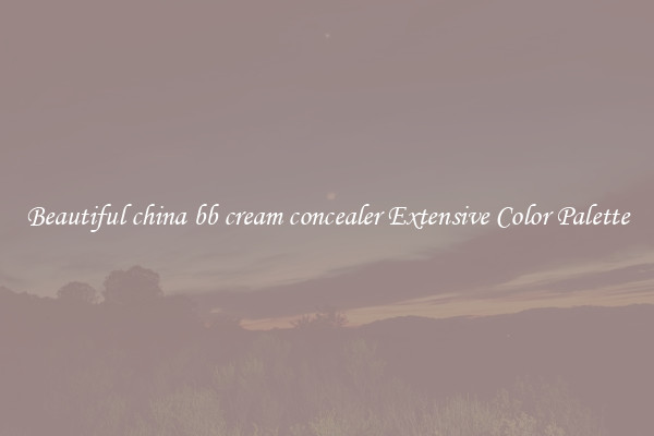 Beautiful china bb cream concealer Extensive Color Palette