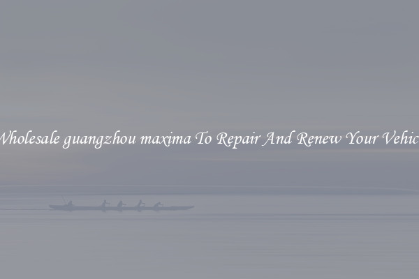 Wholesale guangzhou maxima To Repair And Renew Your Vehicle