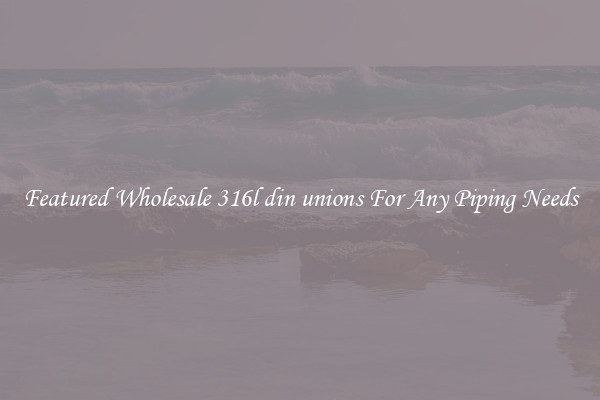 Featured Wholesale 316l din unions For Any Piping Needs