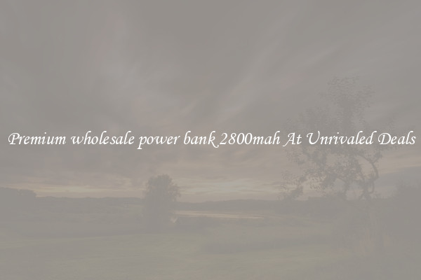 Premium wholesale power bank 2800mah At Unrivaled Deals