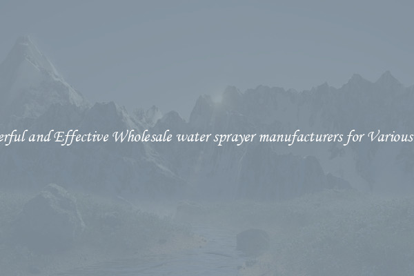 Powerful and Effective Wholesale water sprayer manufacturers for Various Uses