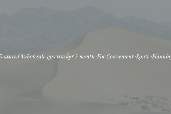 Featured Wholesale gps tracker 3 month For Convenient Route Planning 