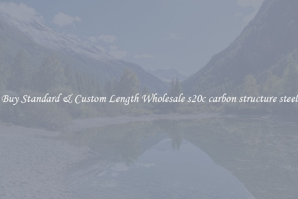 Buy Standard & Custom Length Wholesale s20c carbon structure steel