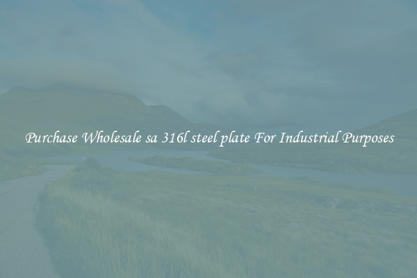 Purchase Wholesale sa 316l steel plate For Industrial Purposes