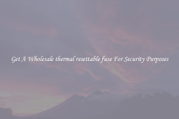 Get A Wholesale thermal resettable fuse For Security Purposes
