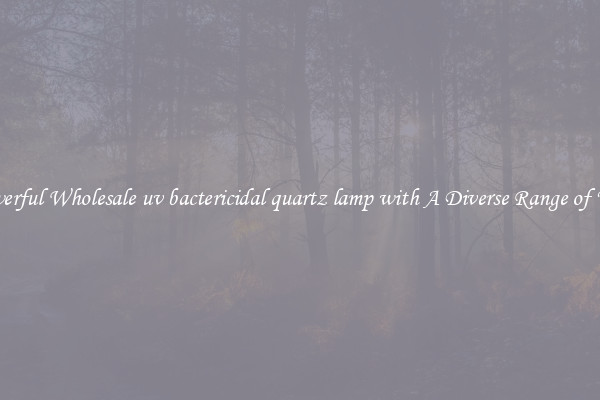 Powerful Wholesale uv bactericidal quartz lamp with A Diverse Range of Uses