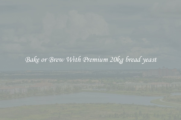 Bake or Brew With Premium 20kg bread yeast
