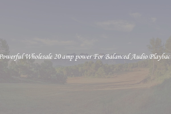 Powerful Wholesale 20 amp power For Balanced Audio Playback